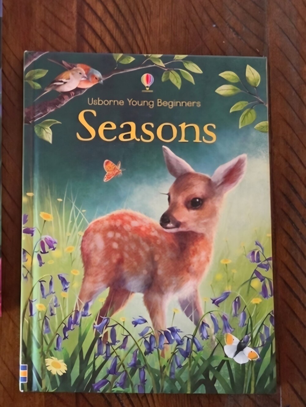 🎉5/$10 Usborne 'Seasons' Hardcover Book